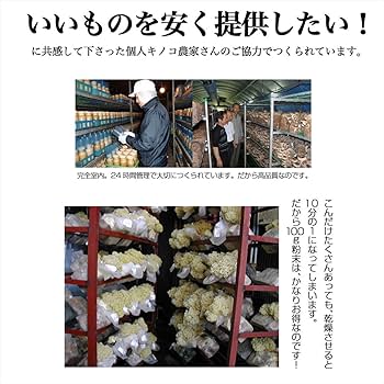 薬膳ガーデン　スーパーハナビラダケ　100g 楽天市場】【スーパーハナビラタケ100％粉末】 《1袋100g入り