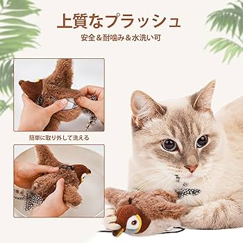 ねこたく 61iOKp96Z1L.jpg_BO30,255,255,