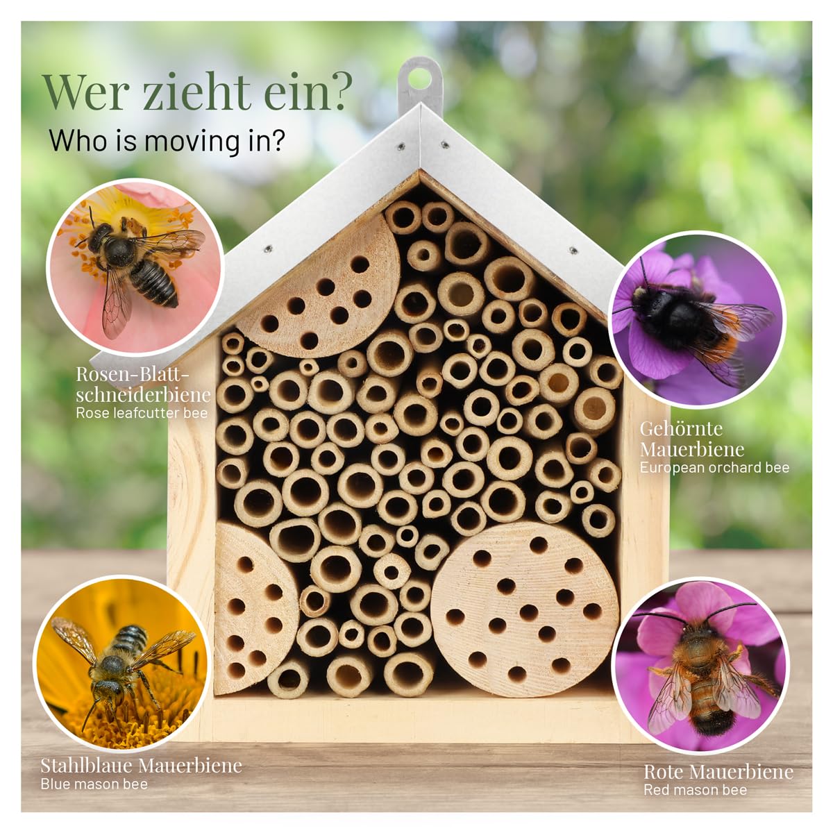 WILDLIFE HOME Hotel per api con tetto in metallo, per insetti selvatici, pronto da montare in legno di pino e 100% resistente alle intemperie, non trattato, per insetti e nido per api