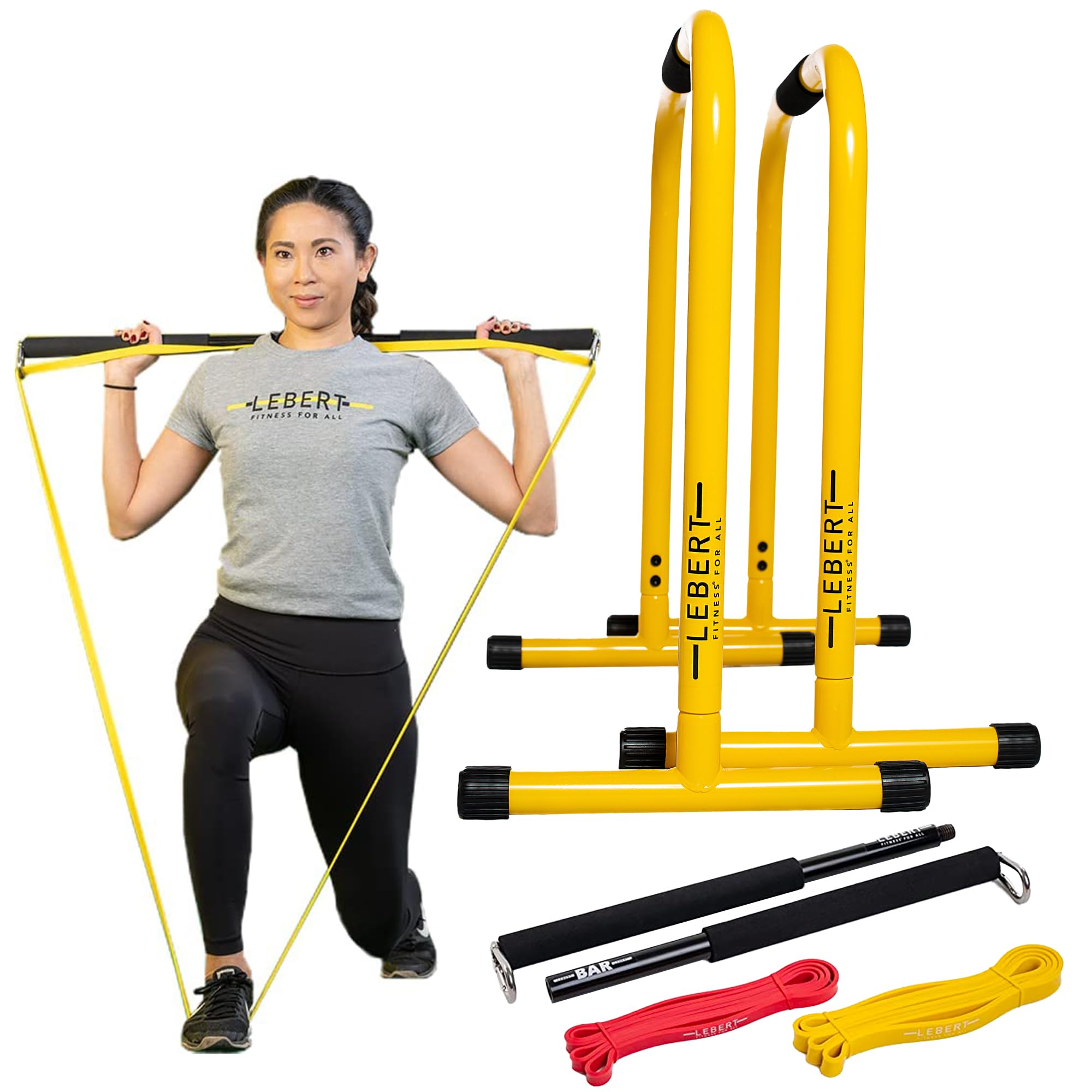 LebertFitness EQualizers Original Dip Bars | Total Body Pull Up Bar | Exercise Equipment Dip Station | Resistance Band | Workout Videos | Calisthenics (BAR COMBO)