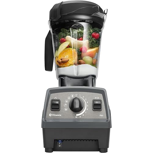 Vitamix Propel Series 750 Blender with Four Blending Programs, Self-Cleaning Program, Professional-Grade Blender for Smoothies, Soups and More, Stainless-Steel Blades, 64 Oz Container, Slate