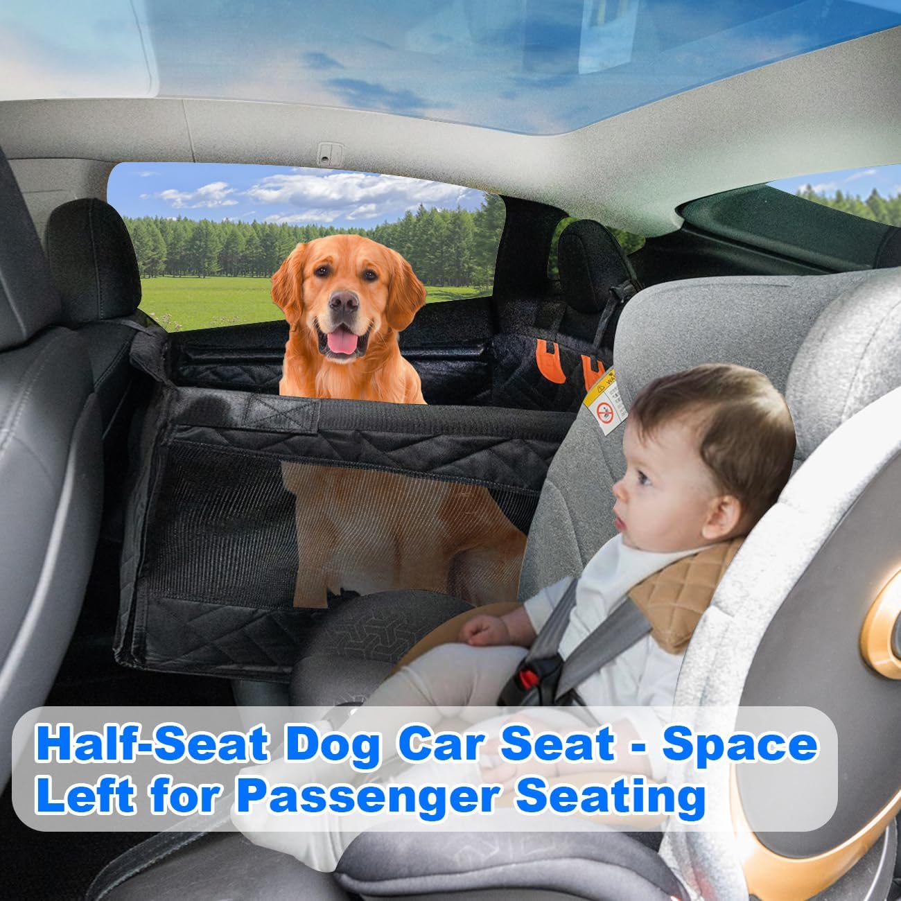 Ultimate Dog Car Seat Review: Comfort & Safety for All Pets on the Go!