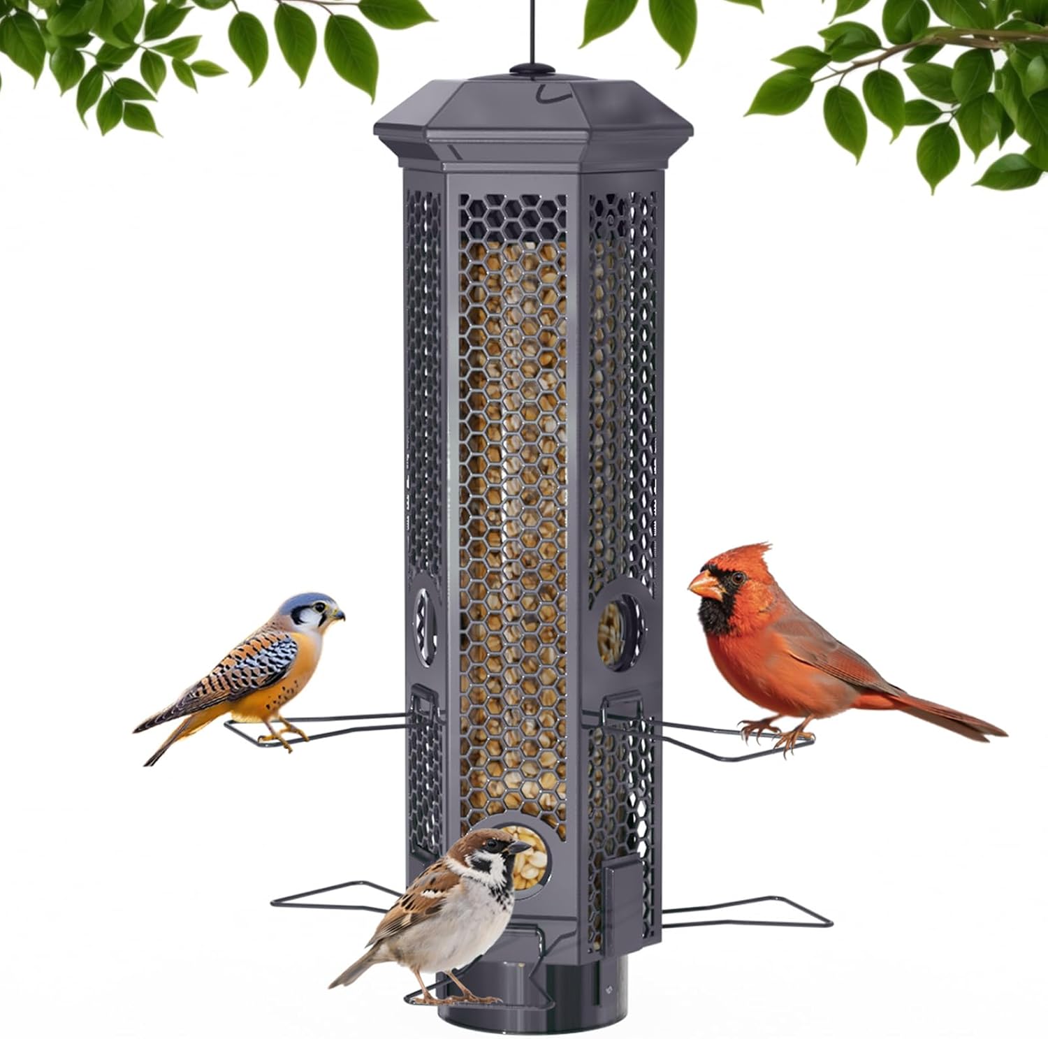 Squirrel Proof Bird Feeders, Bird Feeder for Outdoors with Removable Base, 6 Ports Perches Gravity Protection Squirrel Proof Wild Bird Feeders, 3LB Seed Capacity, Green
