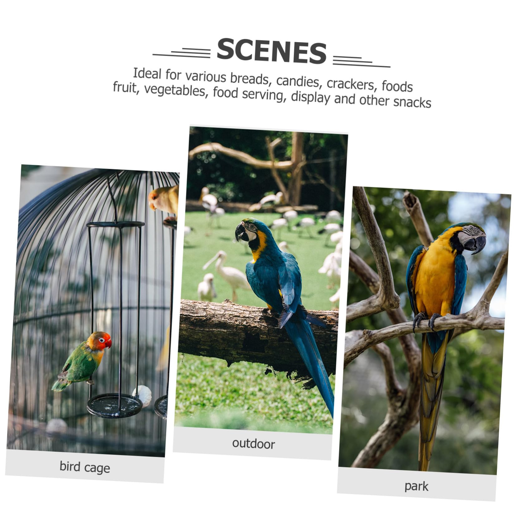 Angoily Giocattolo Per Uccelli Per Pappagalli e Parrocchetti Accessorio Per Esercizio e Riposo Giocattolo Da Masticare Per Uccelli Design Multiuso Per Pet Bird e Macaw
