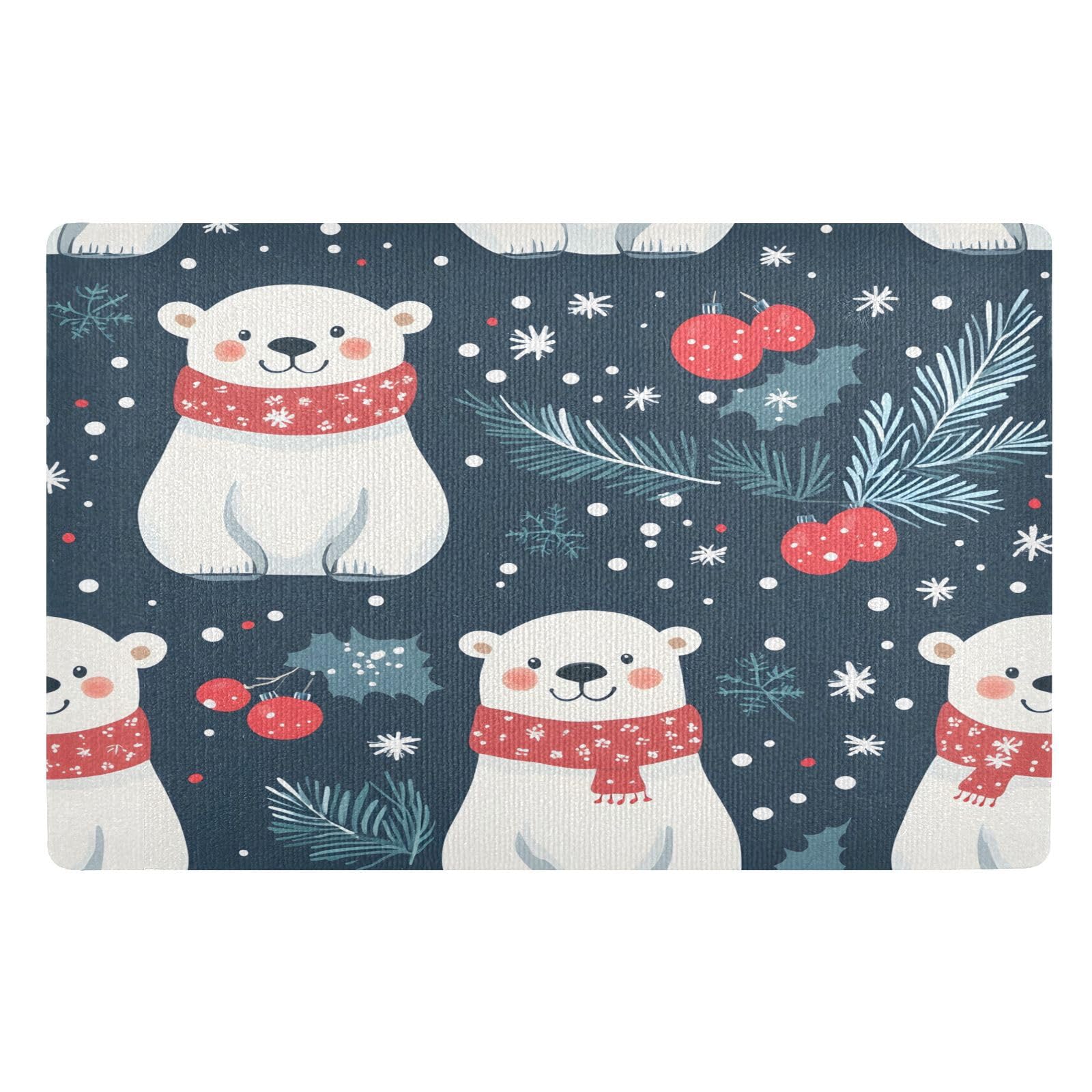 Tapis d'intérieur lavable 50x80 cm pour entrée propre en hiver