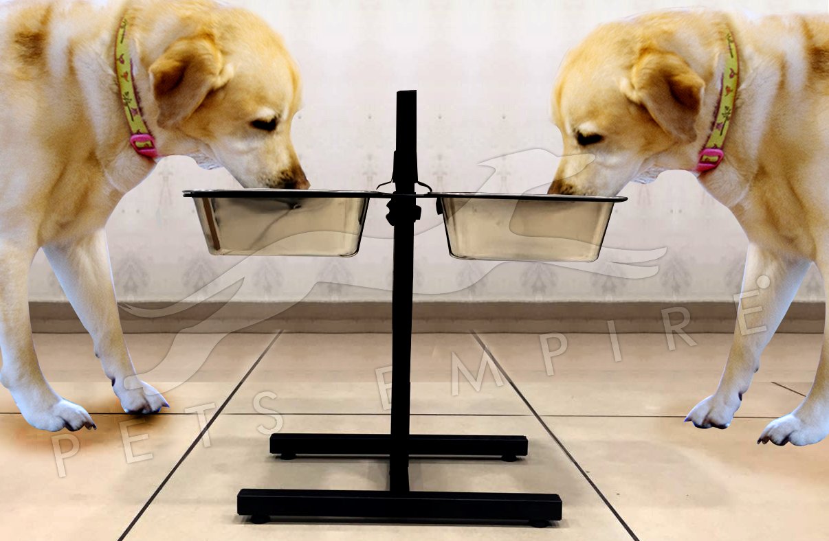 Pets Empire Elevated Dog Bowl |Raised Dog H-Base Bowl Stand | Non-Slip Pet Feeder Stand Adjusts to Heights | Dogs Feeding Station with 2 Stainless Steel Removable Dog Bowls | X-Large (2x2800 ML) (B07FJWCT7X) Amazon Price History, Amazon Price Tracker