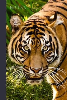 Notes: Hardcover / Password Book Cleverly Disguised With Beautiful Design / Tiger Cover Design / Discreet Internet Username and Login Logbook / Alphabetical Tabs Large Print