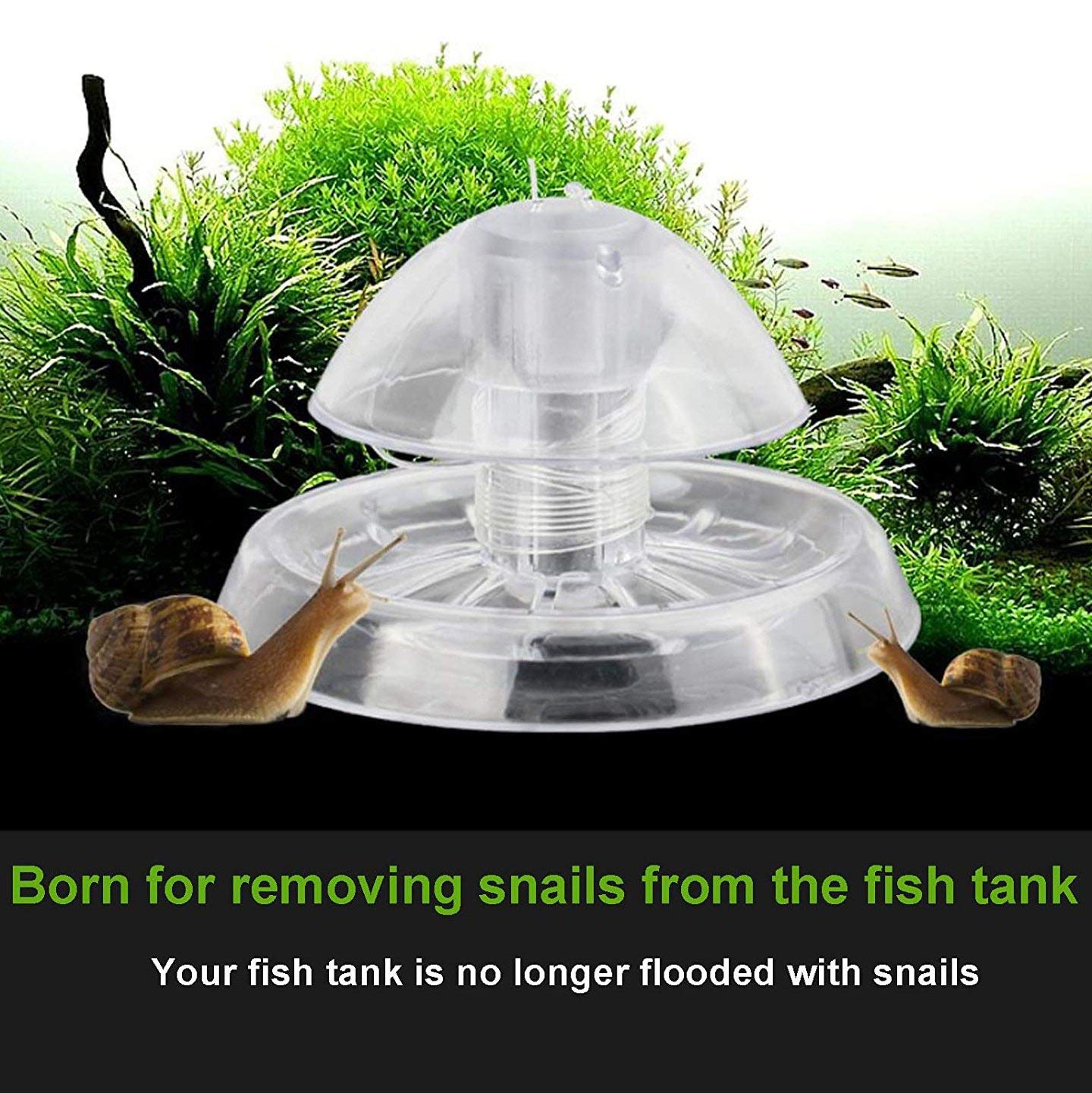 2 Pezzi Trappola per Lumache per Acquario Acquario Plastica Trasparente Trappola per Lumache Acquario Piante Planarian Sanguisuga Catcher 6 Cm