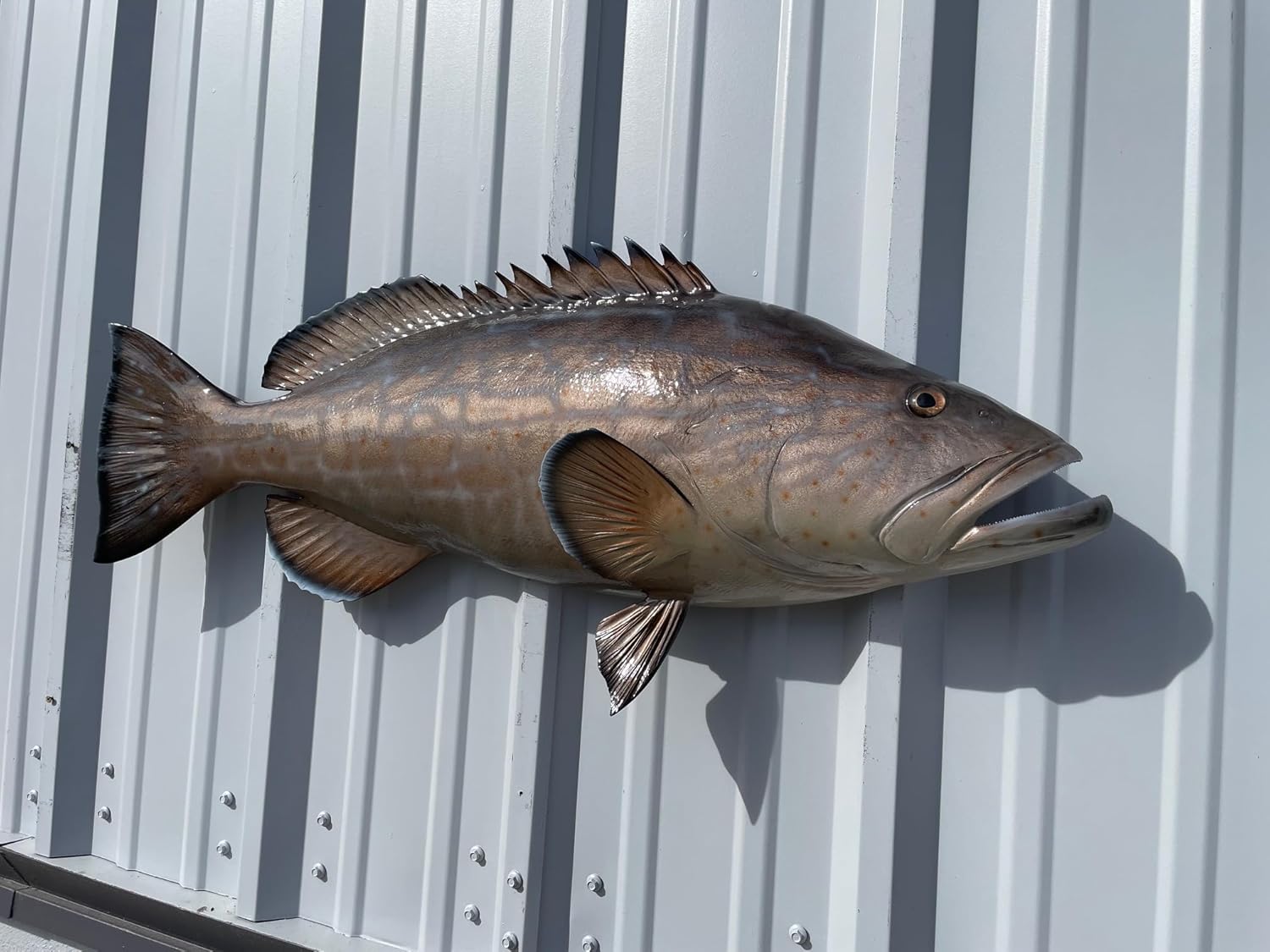 in Stock - 38" Black Grouper Half Sided Fish Mount Replica - Affordable Coastal Decor - Indoors Or Outside
