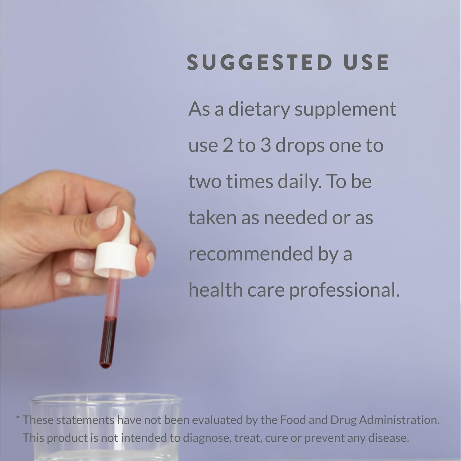 Holistic Health Adenosyl B12 MegaDrops™ 28ML (.95 FL oz)