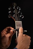 Vista 3 de Cejilla Planeador