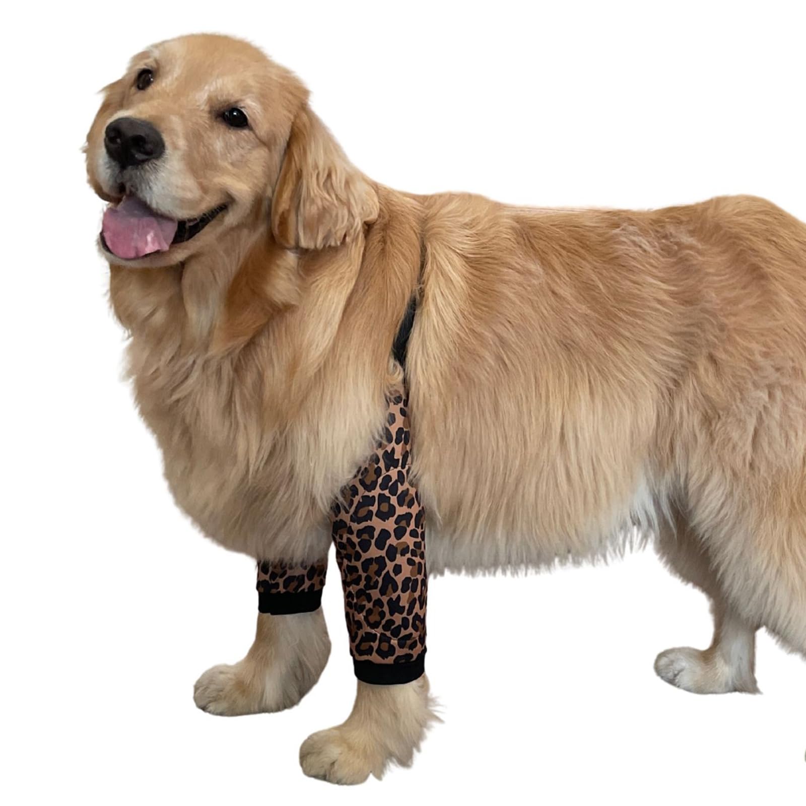 Coudière de convalescence pour chien actif - Protège-articulation souple
