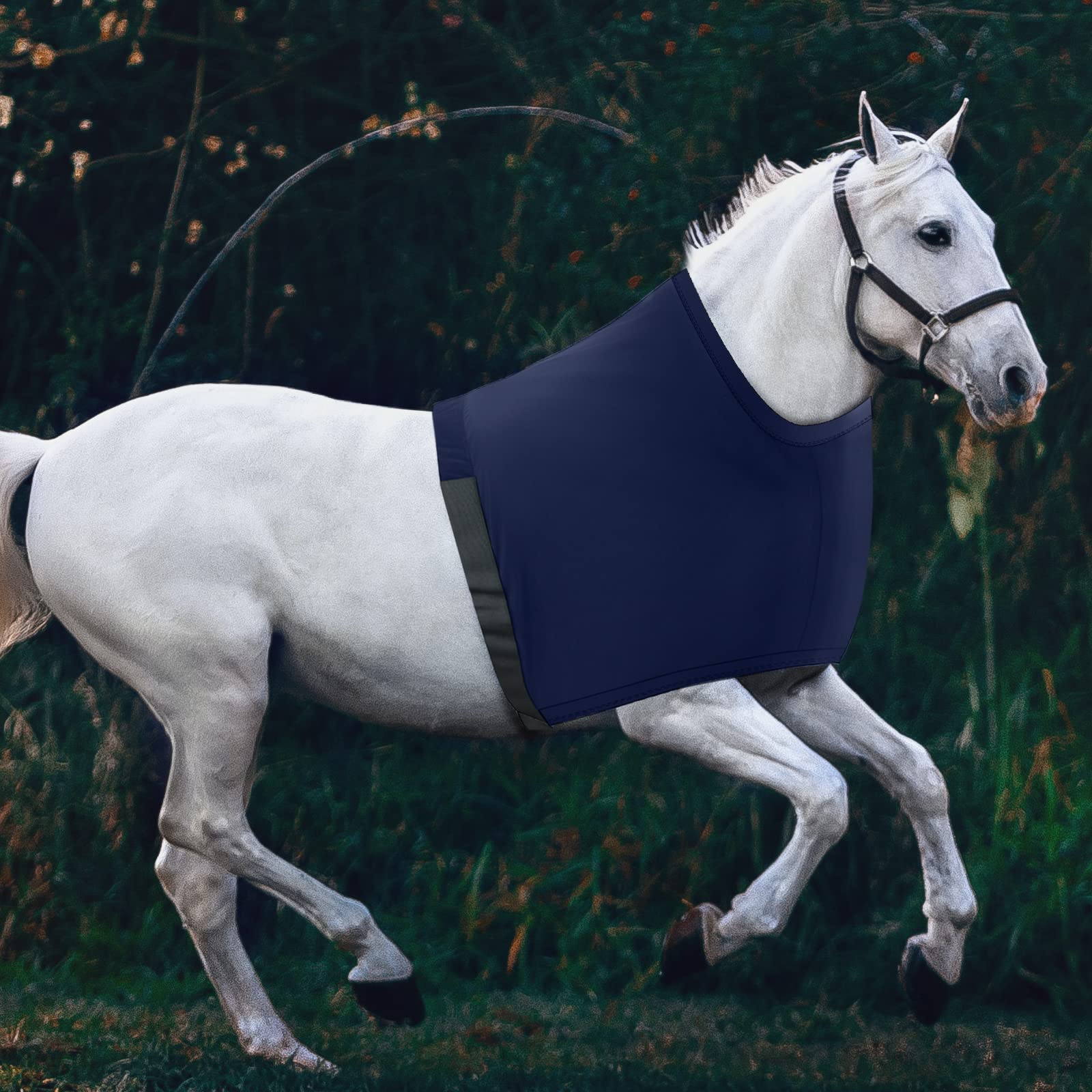 Gilet de protection d'épaule pour cheval en élasthanne extensible pour