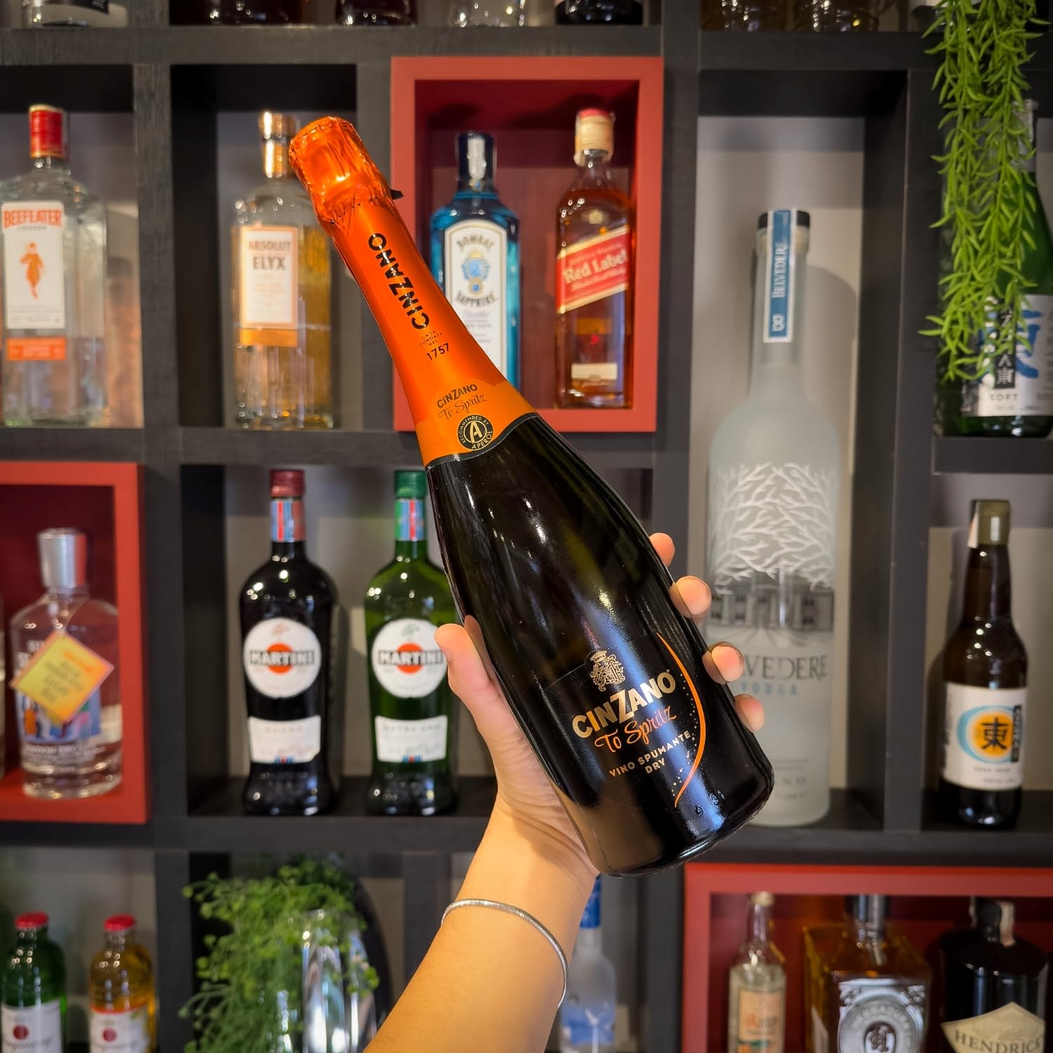 CP Aspire CP LP ボンゴ セット Cinzano Prosecco Spritz 750 Ml | Amazon.com.br