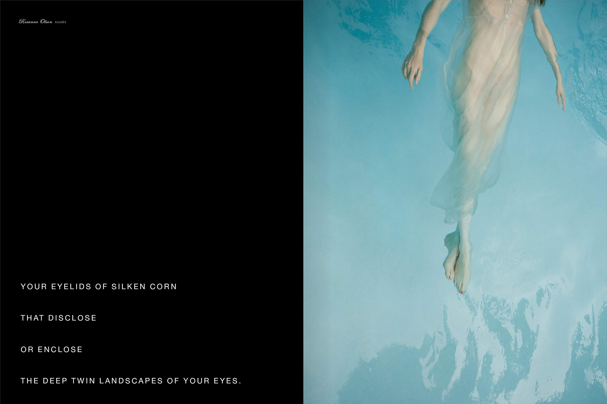 Graphis Nudes 5: Hardcover