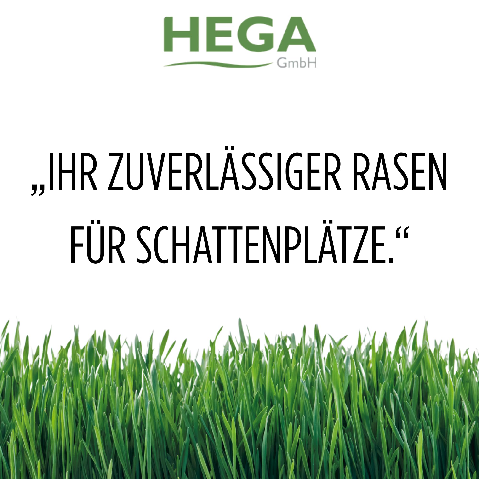 HEGA Classic Green Rasensaat Schattenrasen Rasensaat 2 x 10kg | Grassamen | Rasensamen | Premium Rasensaat | Rasensaat Schattenrasen | Rasensaatgut | Rasensaat schattig | schattige Standorte