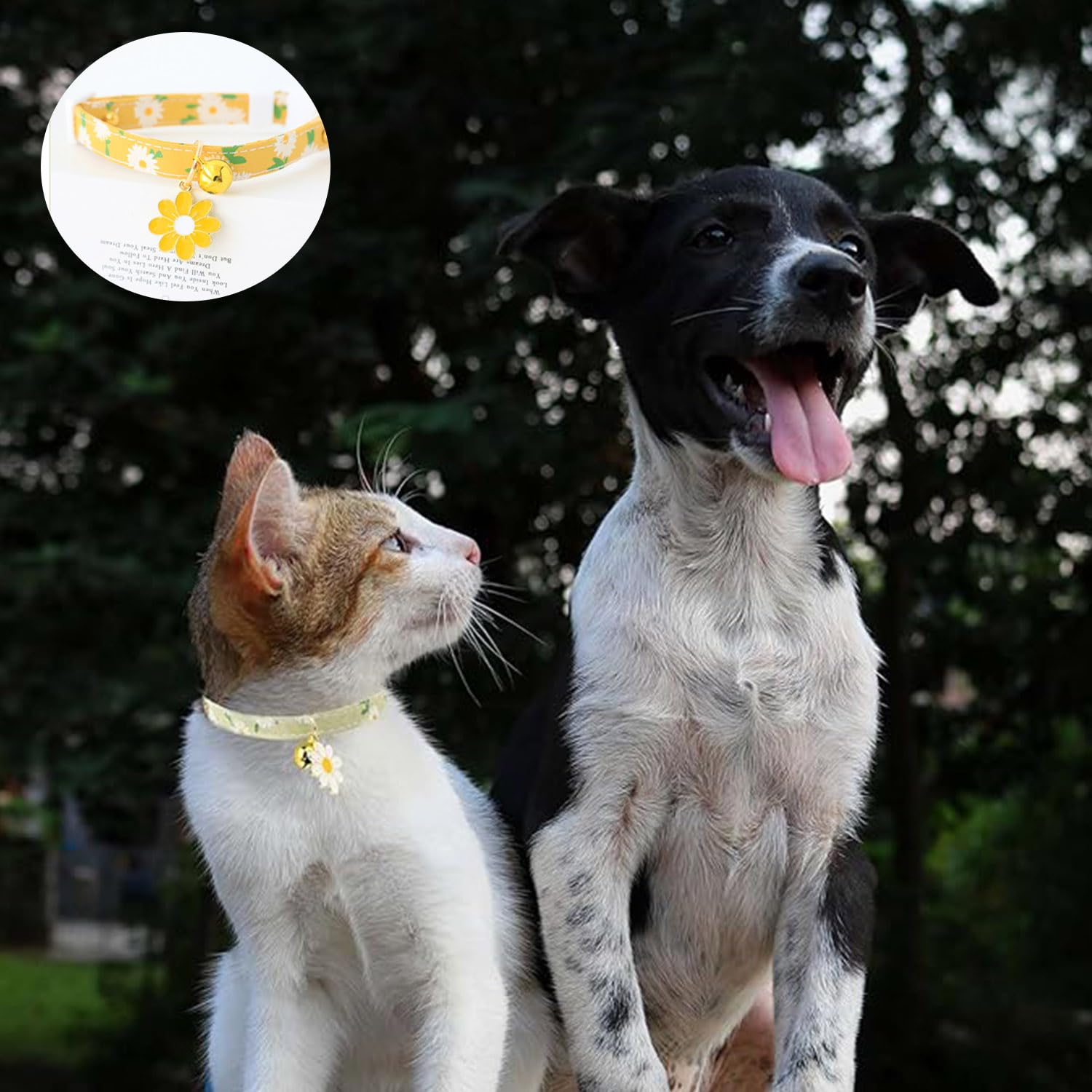 Amazon | Coehaopike 3 色セット 猫首輪 デージーの花柄 鈴付き