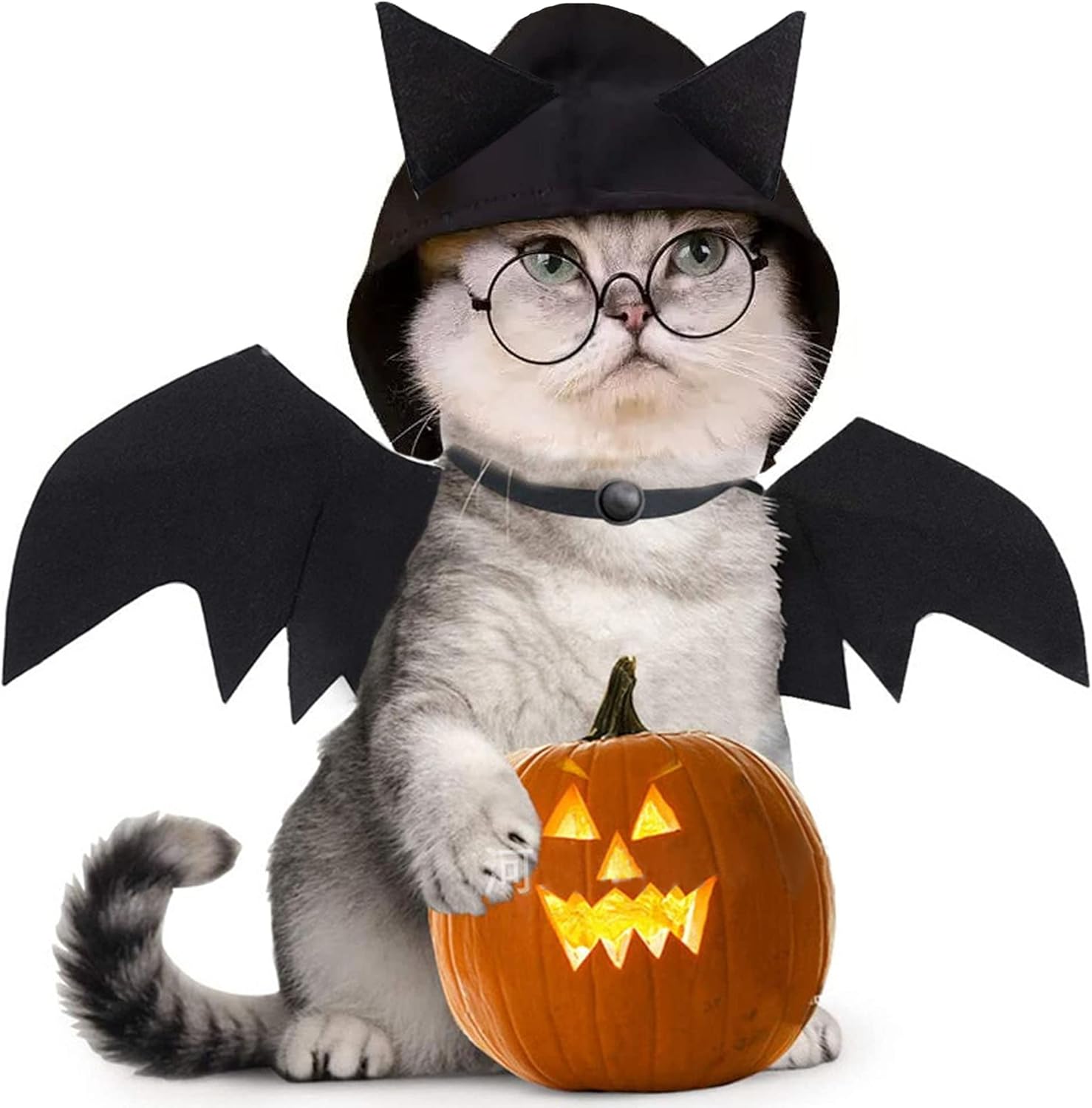 Katze Fledermaus Kostüm Mit Glöckchen - Verstellbare Flügel Für Halloween & Cosplay