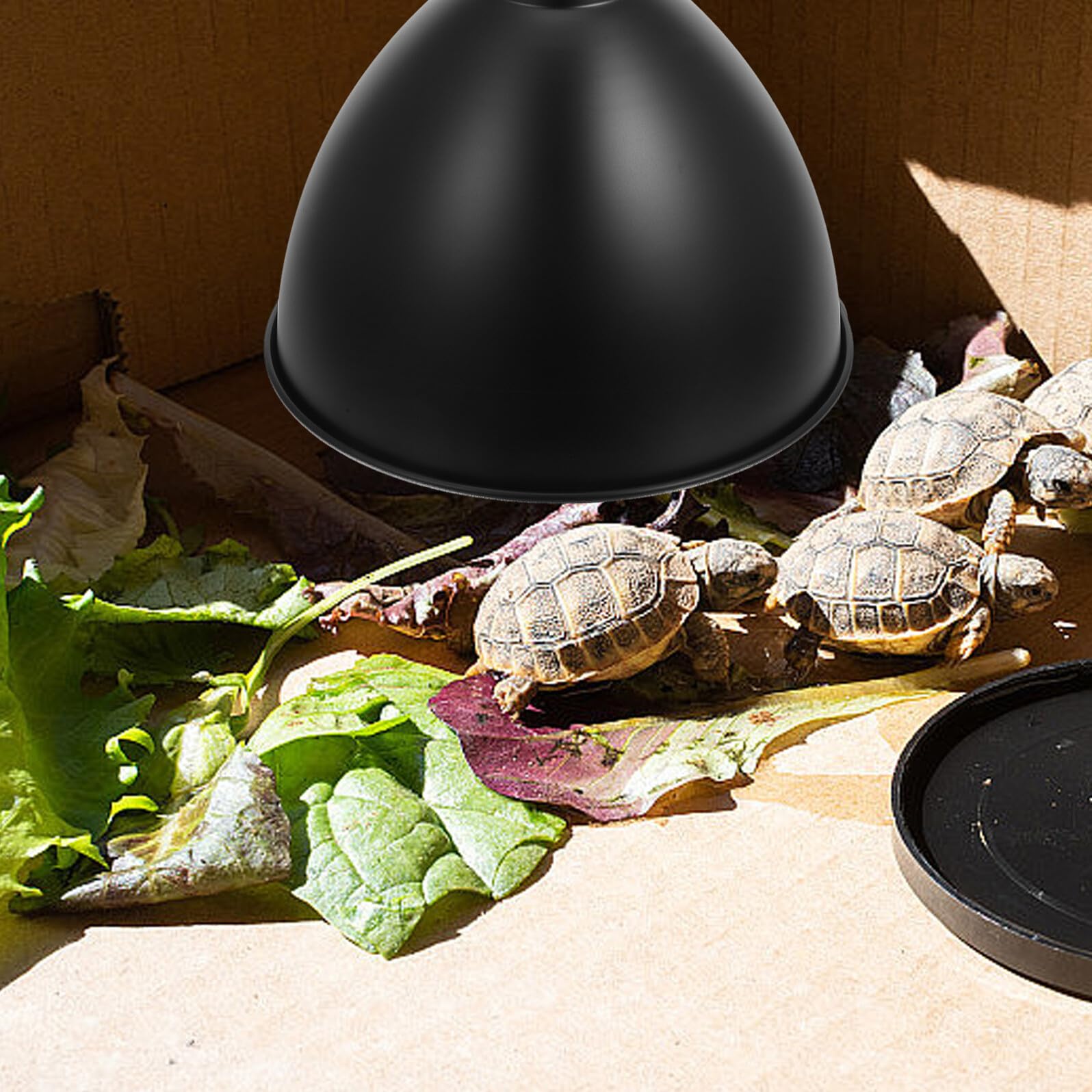 Uonlytech Paralume in Ferro Nero per Lampada Riscaldante Rettili Supporto E27, Riflettore a Cupola per Terrario Lucertola e Tartaruga, Massimizza L'utilizzo della Luce