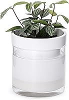 Vista 15 de Phoenix Vine Maceta de riego automático de 4 pulgadas, maceta de arcilla de terracota con depósito de vidrio para plantas de interior, hierbas