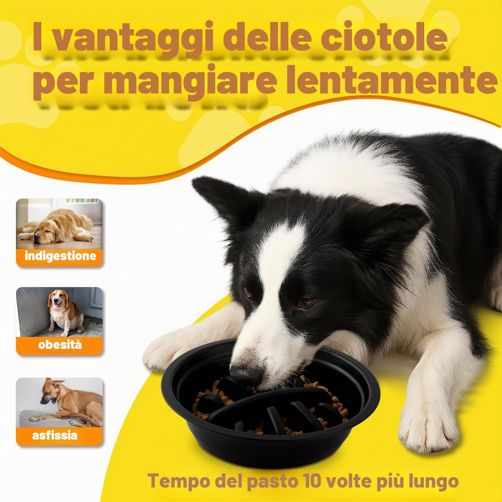 Ciotole per cani Rialzate Regolabili - 2 Ciotole in Acciaio Inox (1200ml) + 1 Ciotola anti-ingozzo (800ml) - Base antiscivolo per cani di taglia media/grande