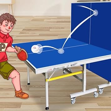 Table Tennis Table for Home Use with Wheels 228 Foldable 201a Table Tennis Table Indoor Standard 25mm Case