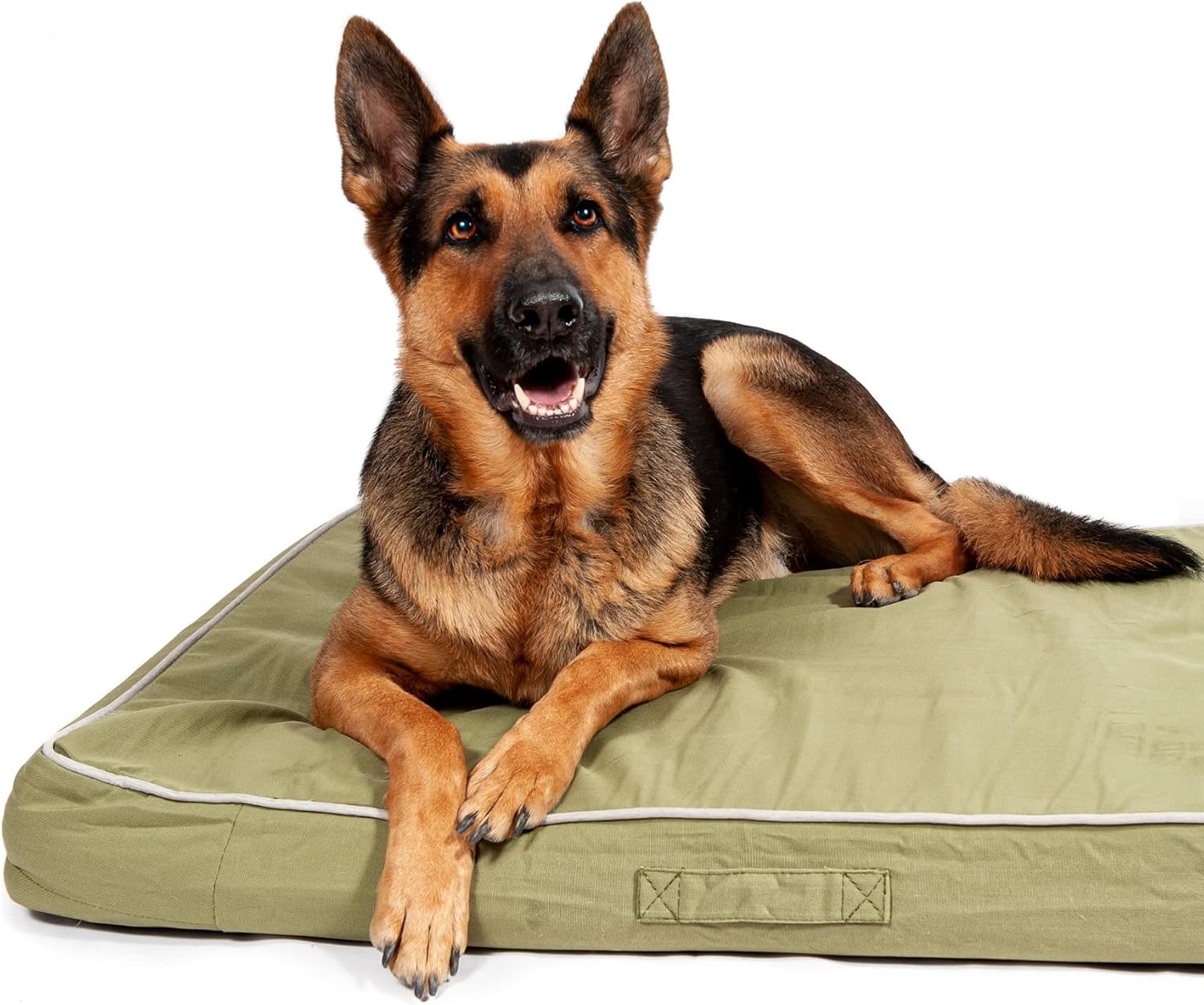 Midlee Outdoor Dog Bed- Small- Green- Pet Outside Foam Pad Removale Washable Cover