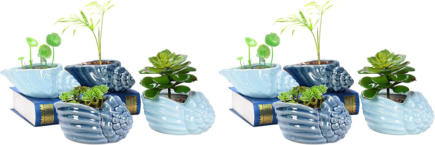 Foraineam Succulent Plant Pots, 5.5-6.5 Inch Ceramic Flower Planter Pots, Blue Conch Ocean Seashell Series, Set of 4 Succulent Cactus Plant Container with Drainage Hole (Pack of 2)