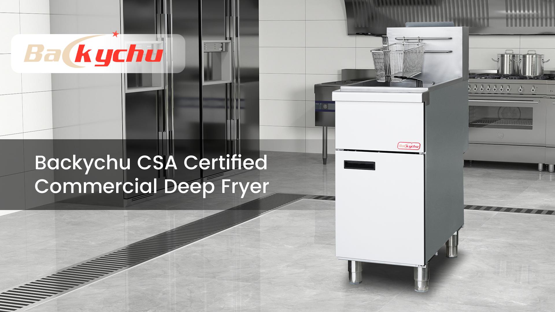 Amazon.com: Backychu Commercial Deep Fryer -3-Burner Liquid