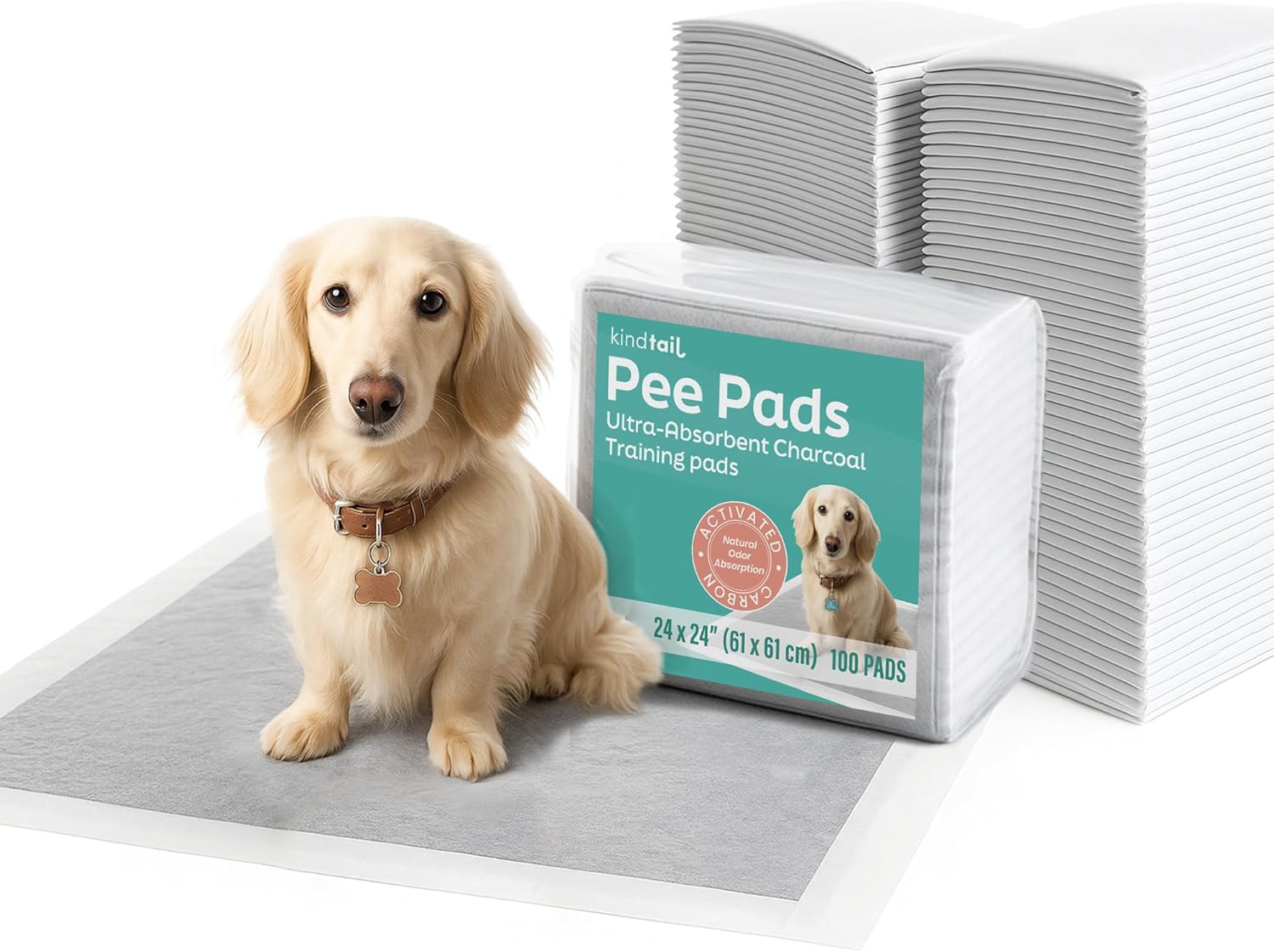 KindTail Pee PAWD - Holds Standard 24" x 24" Potty Pads - Leakproof Tray with Non-Slip Bottom, 1.5" Raised Edge & Modular Side Panel - Easy-to-Clean Plastic - Foldable Design - Handle for Travel