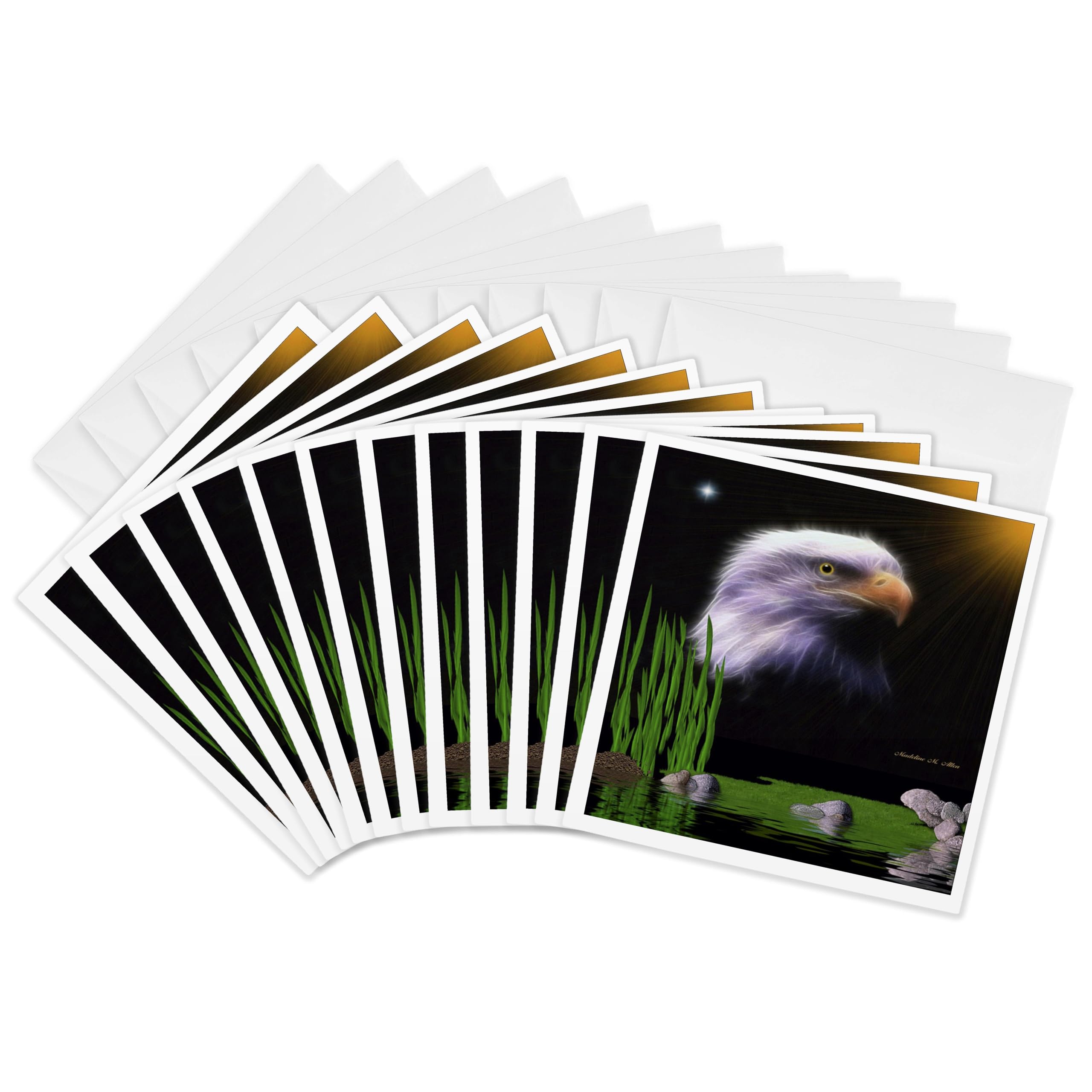 3dRose gc_8401_2 6 x 6-Inch "Bald Eagle - E" Greeting Card (Pack of 12)