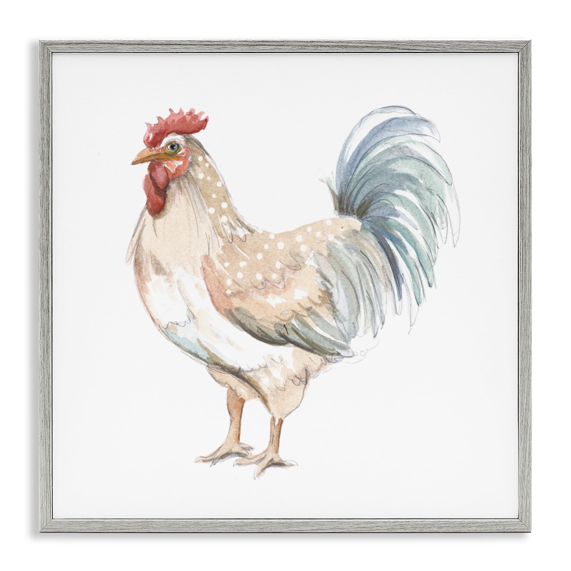 Stupell Industries 'Watercolor Rooster Sketch', Framed Giclee Art, Gray, 12 x 12