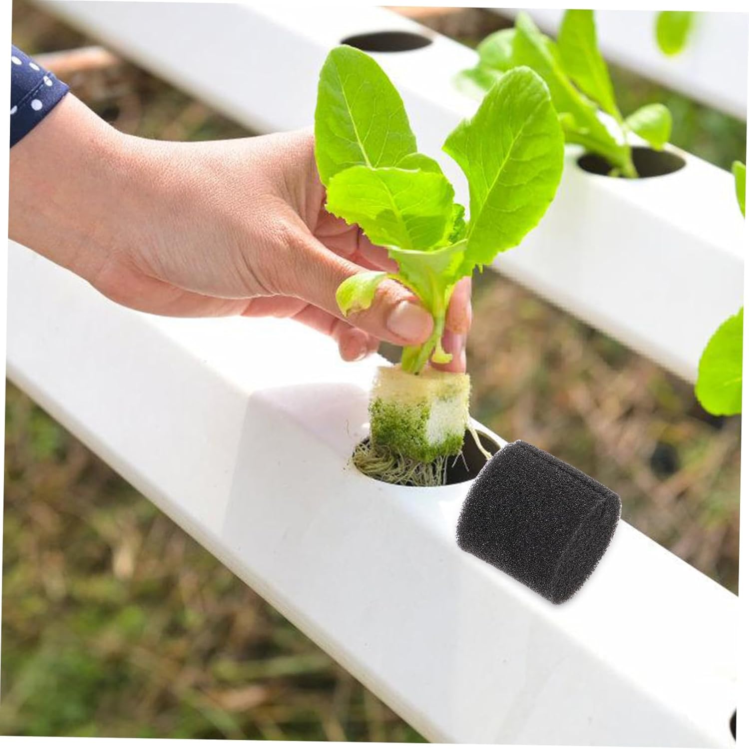 BESPORTBLE 400pcs Hydroponic Sponges Plant Greenhouse Hydroponic Sponge for Garden Soilless Plant Growing Kit