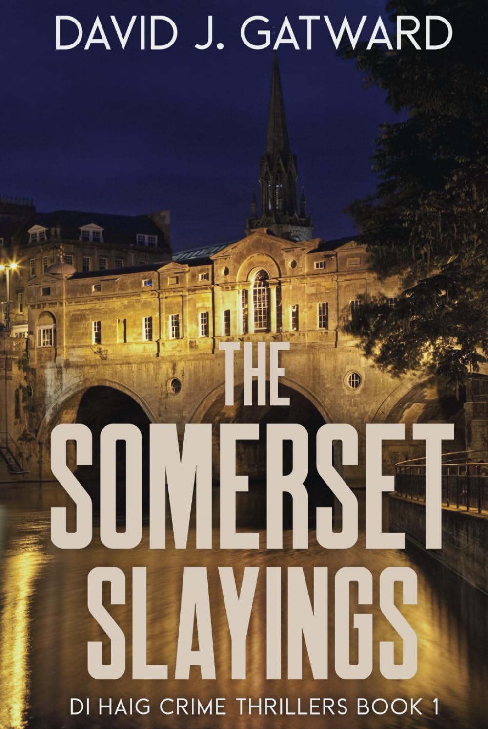 The Somerset Slayings (DI Haig Crime Thrillers)