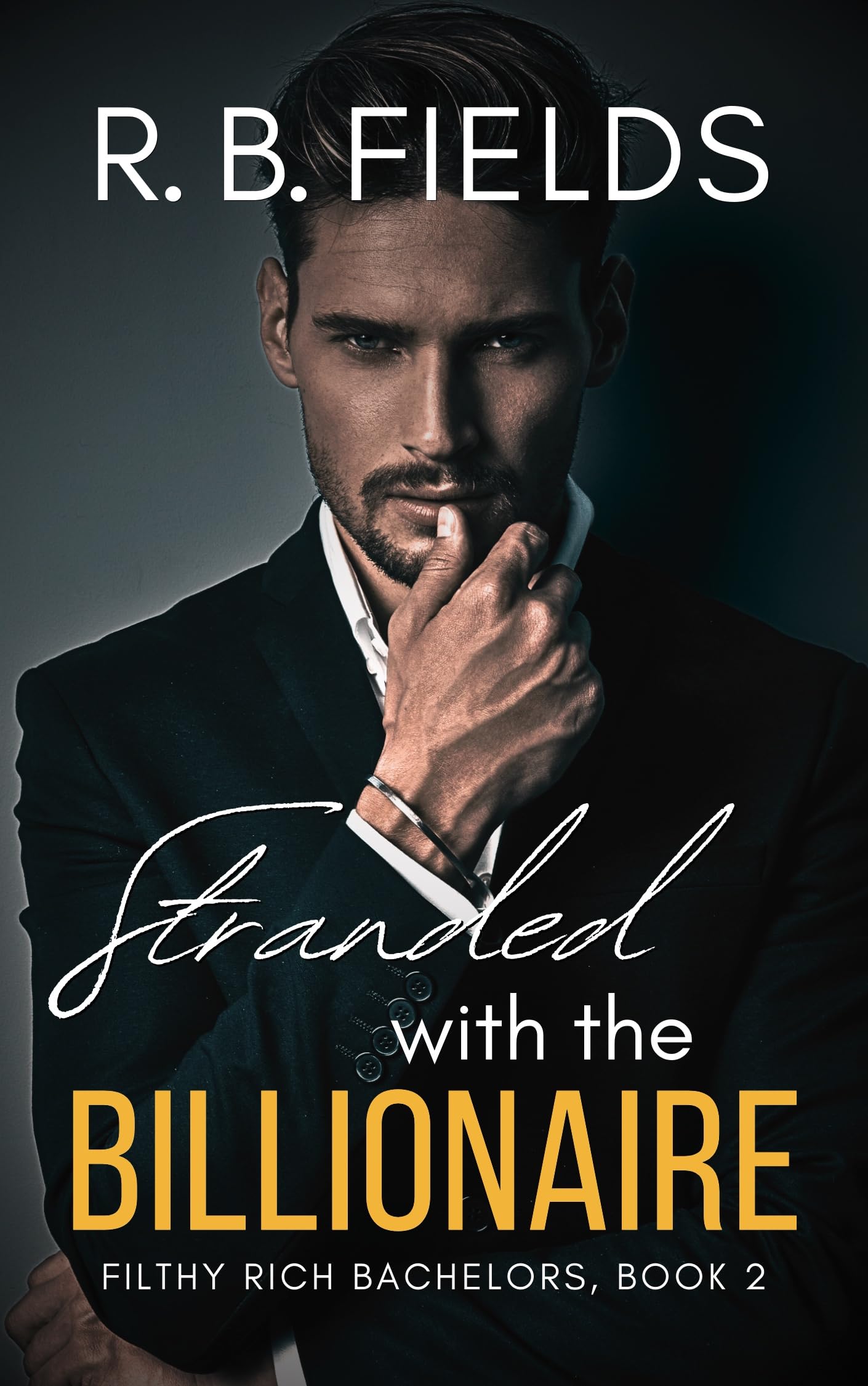 Stranded with the Billionaire (Filthy Rich Bachelors Book 2)