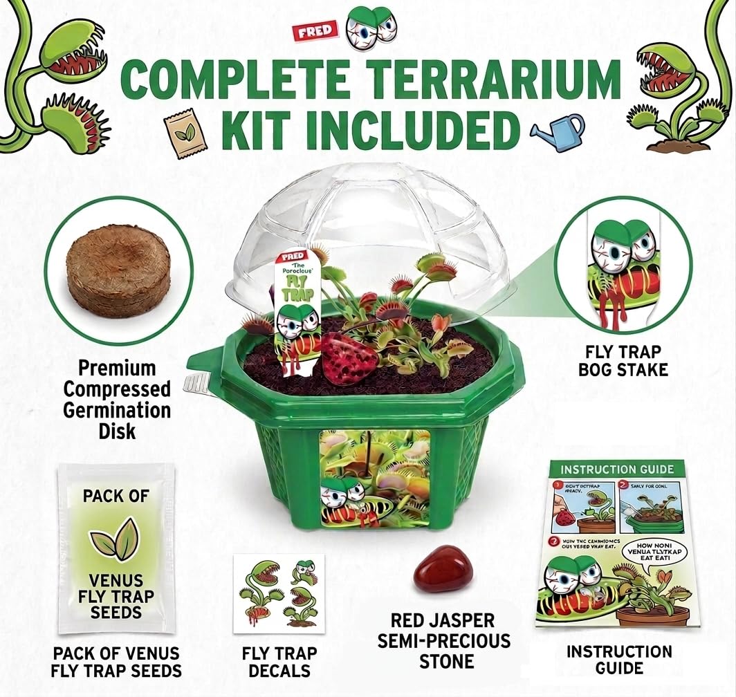 Amazon.com: Toys By Nature Character Micro Micro Dome Terrariums