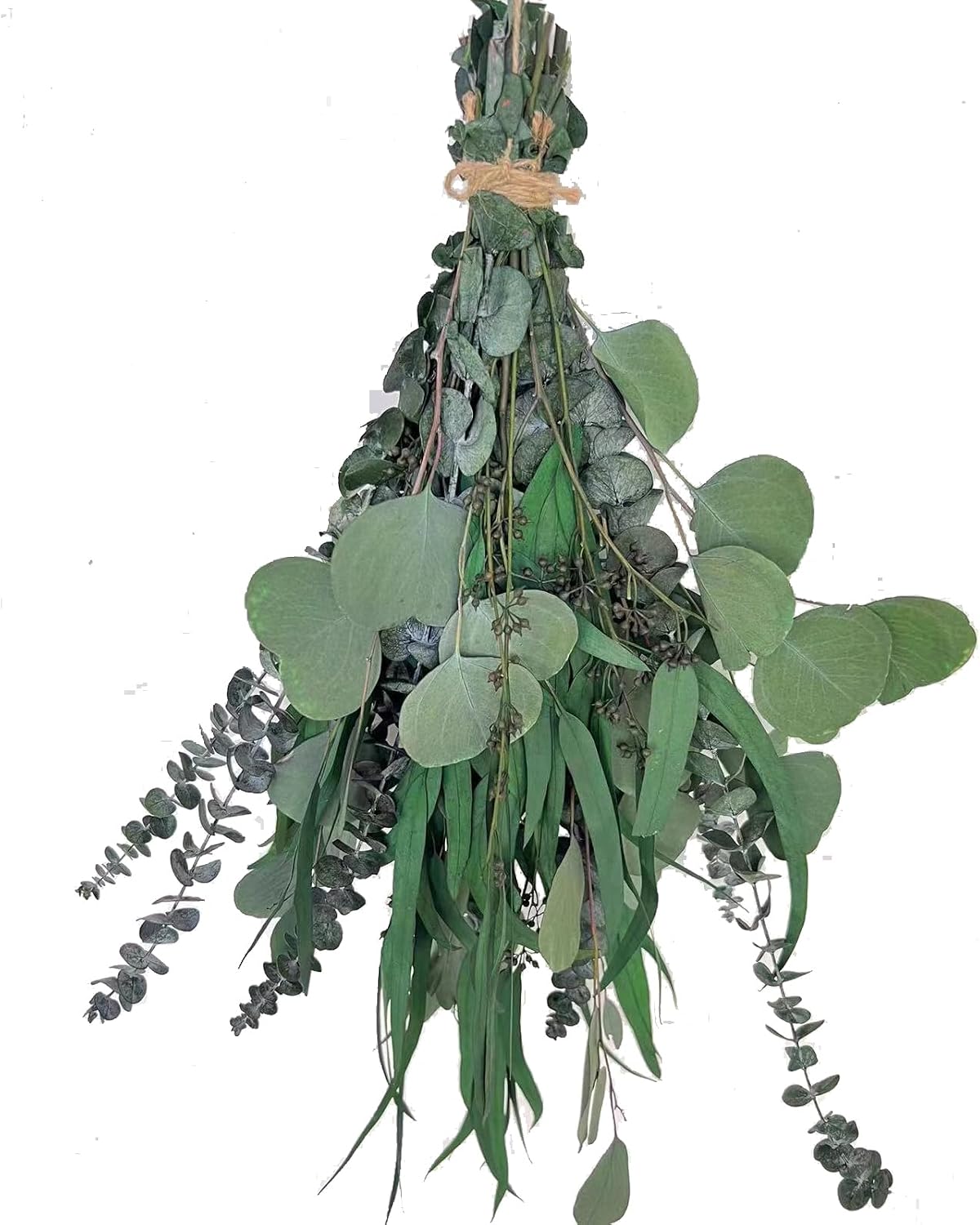 22 PCS Dried Eucalyptus for Shower Bundle, 17'' Real Large Preserved Eucalyptus Stems Shower Plants for Hanging, Fresh Eucalyptus Leaves, Fragrance, DIY Artificial Plant, Home SPA Bathroom Vase decor.