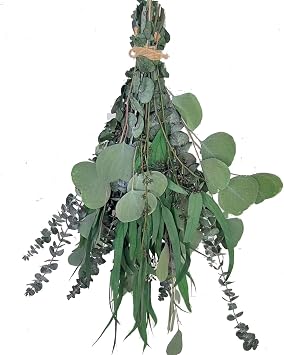 22 PCS Dried Eucalyptus for Shower Bundle, 17 Real Large Preserved Eucalyptus Stems Shower Plants for Hanging, Fresh Eucalyptus Leaves, Fragrance, DIY Artificial Plant, Home SPA Bathroom Vase decor.