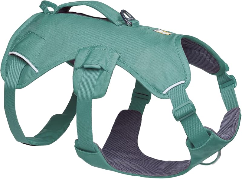 Web Master Dog Body Harness, River Rock Green, Medium | Three-Strap Style Prevents Backing Out, Side Release Neck Buckle, Handle for Lift and Assist, Three Leash Attachment Points