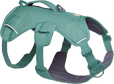 Ruffwear Web Master Harness