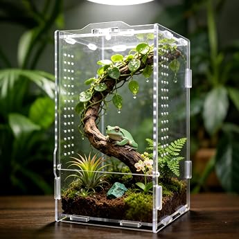 Faunarium Insektenterrarium Acryl-Terrarium Allzweckbeh lter f r Reptilien Amphibien Sprungspinnen Vogelspinnen Schnecken Fr sche und Insekten 12 x 11 x 20 cm