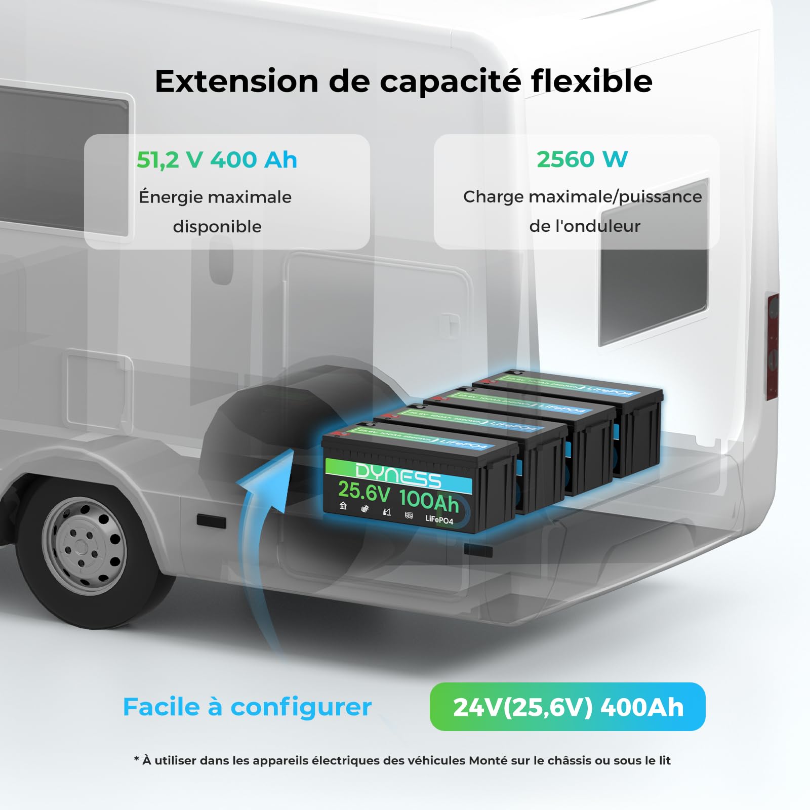 Dyness Batterie Lithium 24V 100Ah LiFePO4 avec BMS intégré 100A et Protection Basses Températures, Batterie Lithium à Décharge Lente pour Camping Car, Panneau Solaire, Bateaux Bass, Hors-Réseau