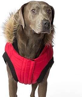 Canada Pooch | North Pole Parka (16 (15-17