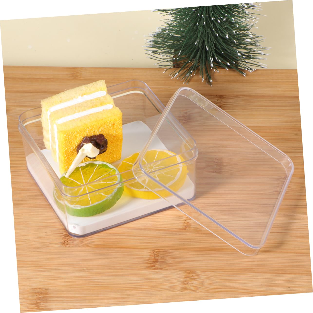 Cabilock 1pc Box Specimen Box For Transparent Specimen-box Display Case Container Insect Boxes Insect Case Insect Collecting Cage Collection Insect Specimens Insect Display