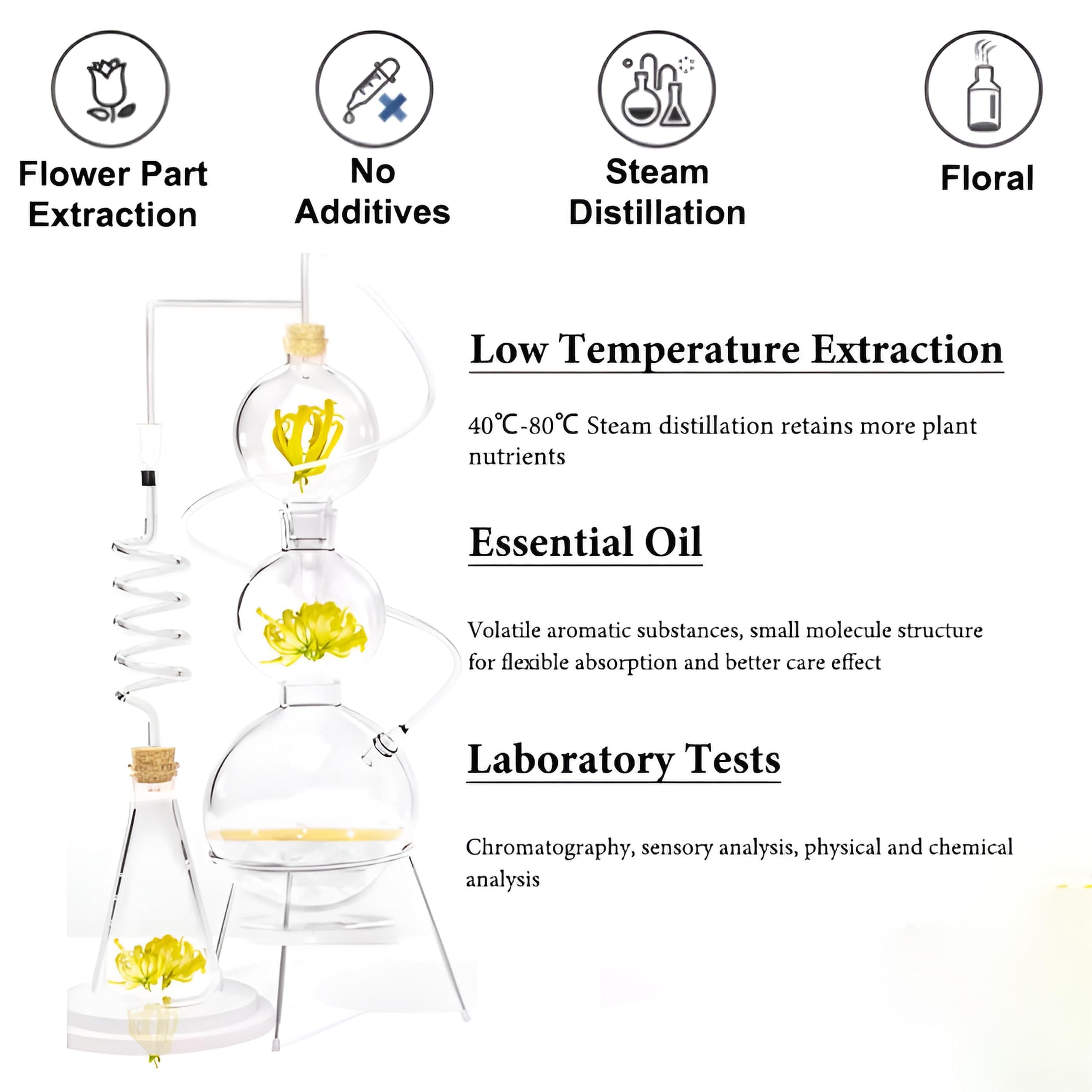 Ätherisches Ylang-Ylang-Öl & ätherisches Ylang-Ylang-Öl, reines Aromatherapie-Öl für Diffusoren, Kerzen, Seifen, Hautpflege, Massage und Entspannung, natürliches organisches Ylang-Ylang-Öl(500ml)