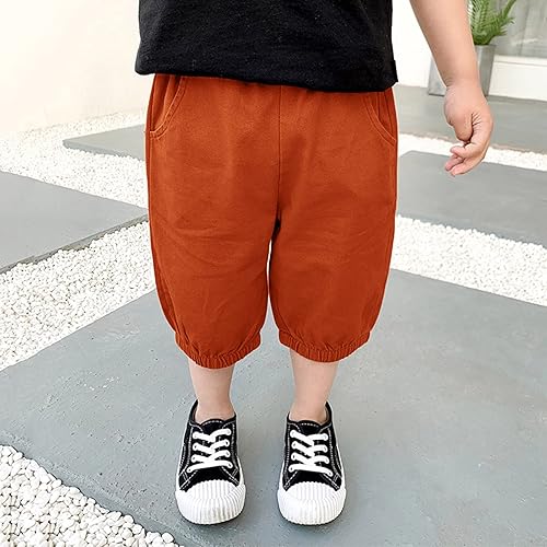 Miniatura 2 de Pantalones cortos de algodón para bebés y niños pequeños, de verano, hasta la rodilla, cintura elástica, pantalones casuales (naranja, 2-3 años),