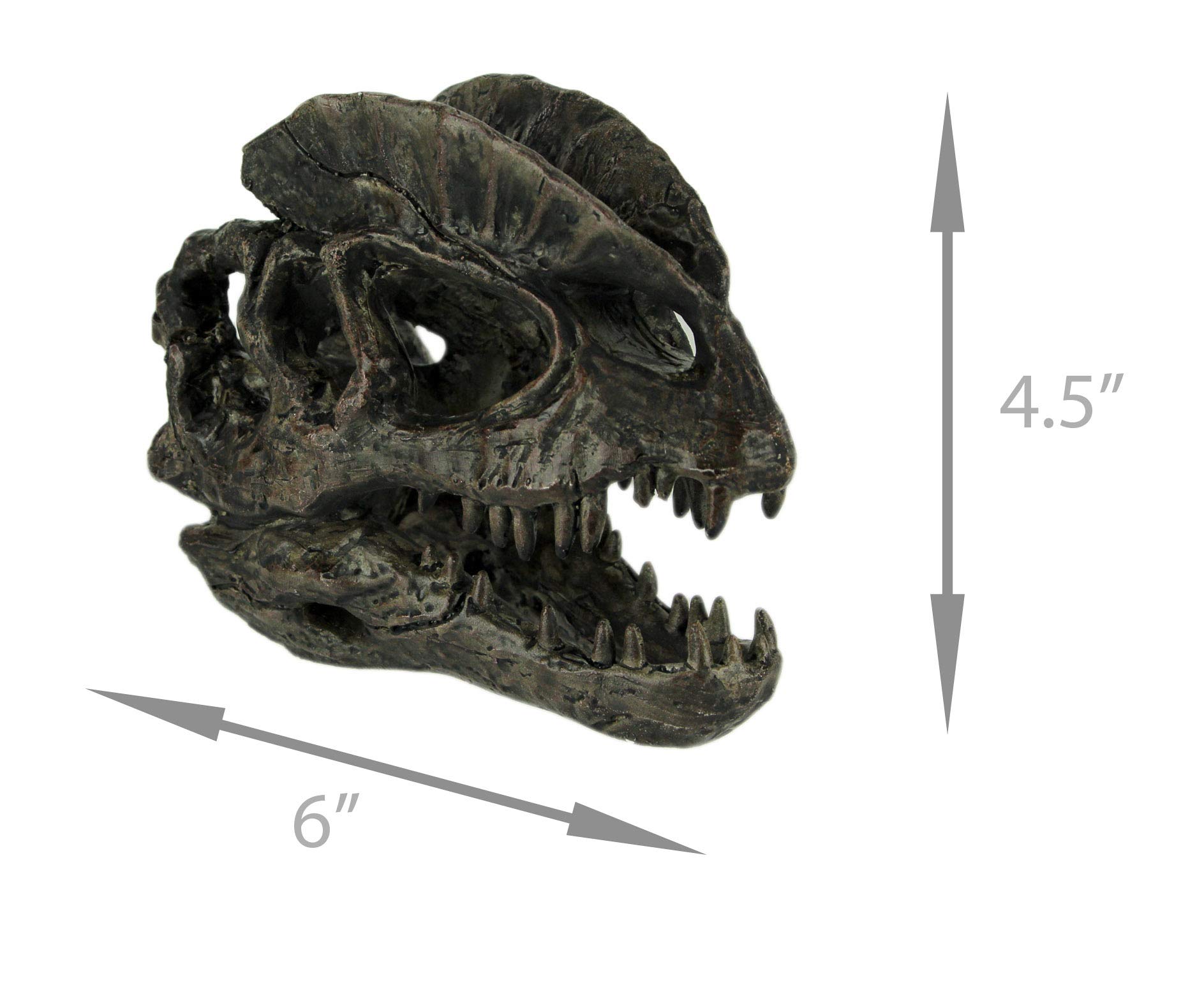 Amazon.co.jp: Things2Die4 ディロフォサウルス 恐竜ヘッド 化石