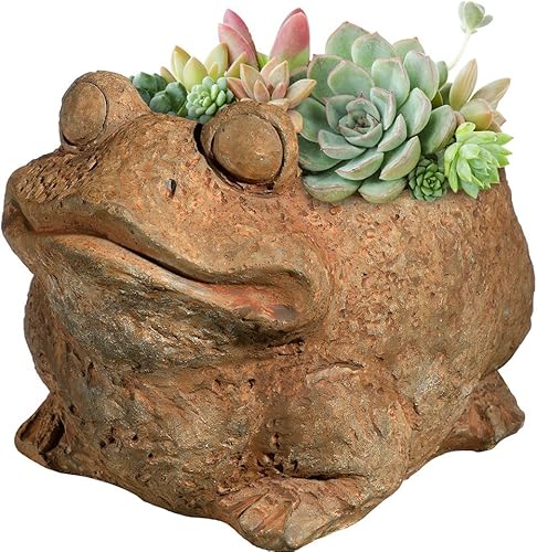 Miniatura 3 de Classic Home and Garden Cement Buddies - Macetero de rana (tamaño pequeño), color natural, Rana, S, Herrumbre