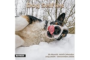 Hilariously Bad Dogs of the Year 2025