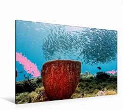 CALVENDO Premium - Lienzo de lienzo (120 x 80 cm, horizontal, diseño de pelota de pescado), color marrón